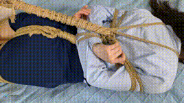 【JS原创】美麗的奮鬥系列BeautifulStruggles