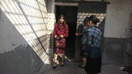 【梨花雨】坠入深渊