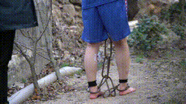 【结绳而治】罚不当罪