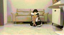 【嗷大喵】定拍路崽日记（第十七集）