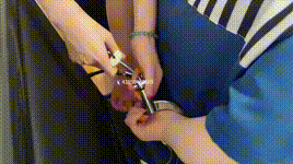 【忘优社】女孩因卖冰糖被捕