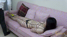 【半岛束艺】完全封印了人类的活动~泽爱