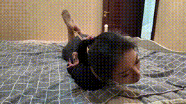 【枫叶原创】独闯虎穴（下）