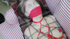 【半岛束艺】我是不是太闲了~波雅