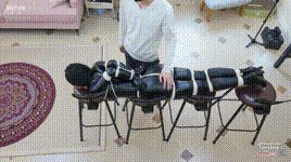 【半岛束艺】定拍来时好好的，回不去了~海语