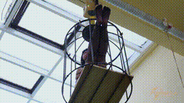 【半岛束艺】笼震~落叶