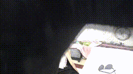 【新月原创】女特工红豆的致命旧情人