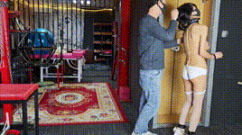 【意之窗】定拍汤圆k9训练学狗狗撒尿狗盆进食