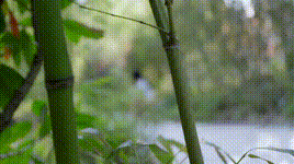 【悠米】定拍调教女M5