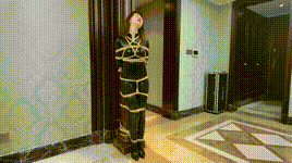 【枫叶原创】定制受制于人的女侠