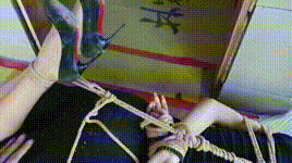 【花与寻】工地遇险（2）