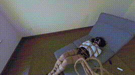 【鹿角与猫爪】女秘书逐渐沦陷的过程