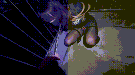 【噗叽】玫瑰的日记Ⅱ