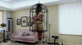 【半岛束艺】如何诱捕人类~绿鳄泽爱