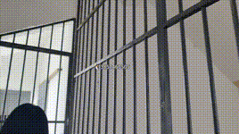 【忘忧社】新模小桃体验记