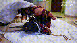 【灰太狼】极限捆绑郊狼窒息