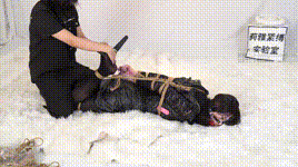 【莉雅】定拍黑暗之奴，妖丽之妓cosplay紧缚直臂驷马tj强膏蛋蛋棒子口球