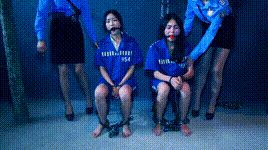 【胜景影视】凋零的红罂粟（下集）