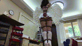 【半岛束艺】放鸽子~海语封面图