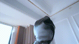 【悠米】女侦探4封面图