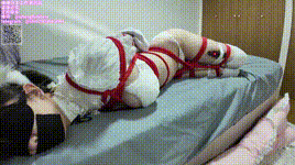 「毛绒狗狗」巨乳√玉足√小怪兽TD，坐缚强制gc，郊狼电击屁屁日式紧缚狗骨口塞等封面图