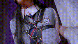 【丝米】定拍狩猎日记之姐妹花封面图