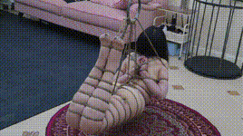 【半岛束艺】她终于不用恐高了~海语封面图