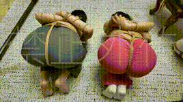 【枫叶原创】魅影危机：艳缚行动（第4集）完结篇米粒色诱成功脱身被神秘人再次擒获封面图