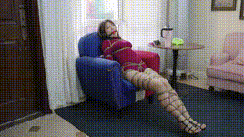 【半岛束艺】如何退烧~波雅封面图