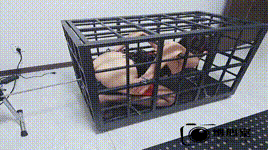 【缚心室】健身女教练的兔笼体验，黑丝束腰完美身材，三种不同姿势玩法，炮机 AV棒猛…封面图