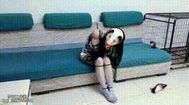 【梦川原创】欲念游戏·④号雯雯的紧缚坚持游戏封面图