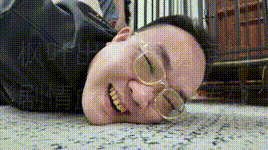 【枫叶原创】彩虹与黑猫·新美人捕获·落入陷阱的侦探姐妹花.jpg封面图