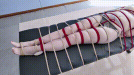 【一绳所爱】床上的羔羊杨蕊封面图