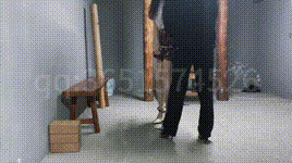 【忘忧社】塑料姐妹情封面图