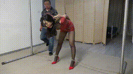 【逍遥】定制女主播的回馈~驴驴封面图