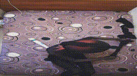 【Kig】黑丝全包热缩袋呼吸控制封面图