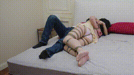 【半岛束艺】家里进了蜜蜂~波雅封面图